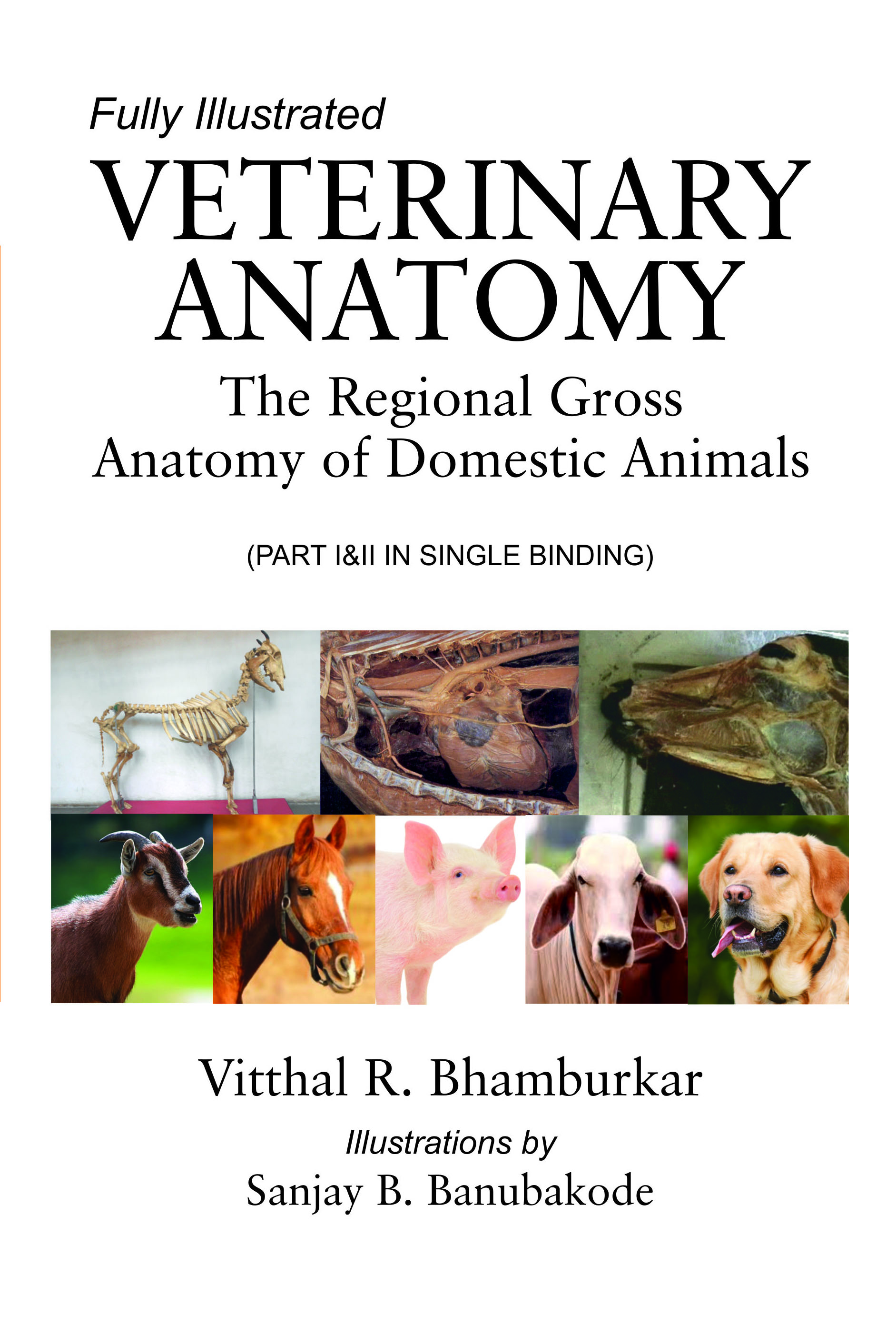VETERINARY ANATOMY: THE REGIONAL GROSS ANATOMY OF DOMESTIC ANIMALS FULLY ILLUSTRATED book cover